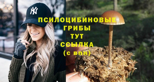 СК Алексеевка