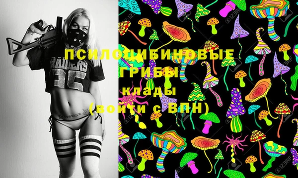 СК Алексеевка