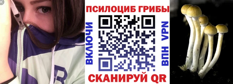 Галлюциногенные грибы Psilocybe  как найти наркотики  Сибай 