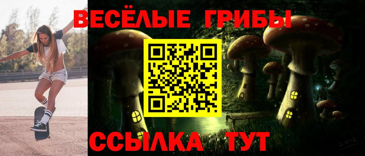 Сибай  Псилоцибиновые грибы ЛСД  Вход с VPN  Псилоцибиновые грибы ЛСД 