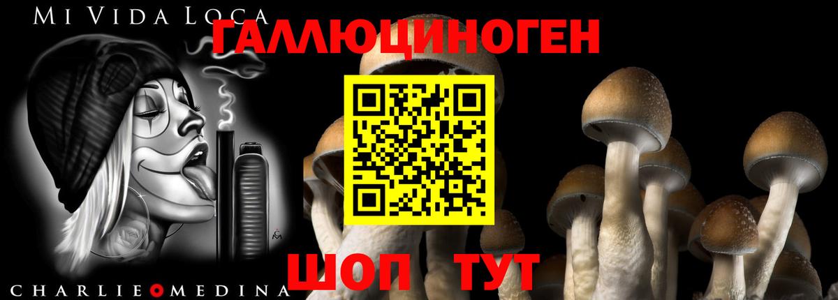 Псилоцибиновые грибы мухоморы Сибай